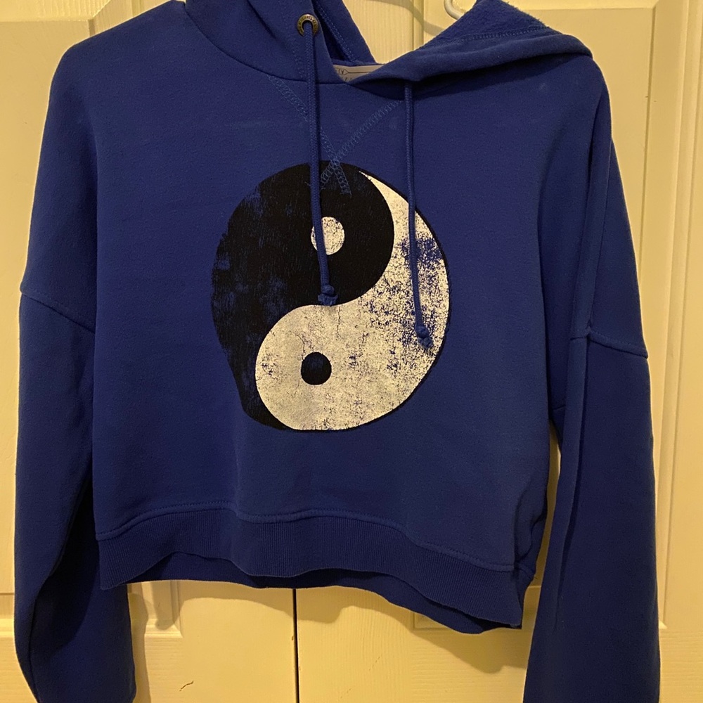 Pacsun Cropped Sweatshirt